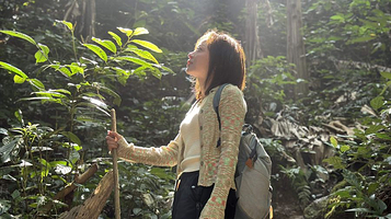 基诺山乡么卓森布鲁马帮雨林穿越