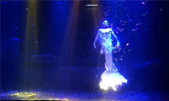 潍坊海昌海洋馆