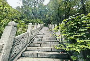 青龙山慈云寺第 18 张图片