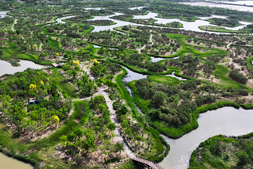 光合谷旅游度假区第 16 张图片