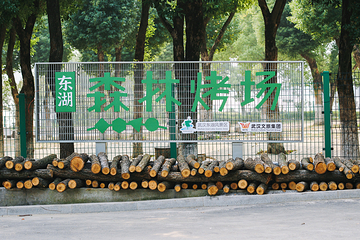 东湖森林烤场第 17 张图片