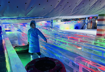 三只熊冰雪王国第 25 张图片