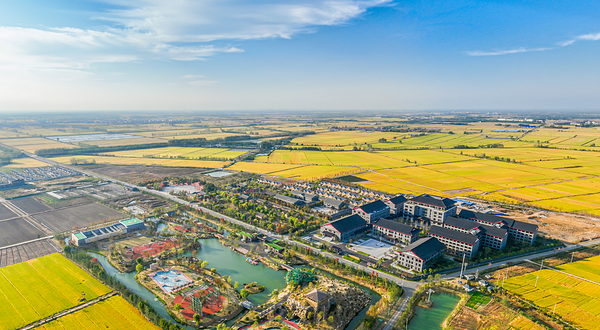 雪枫军政大学训练营