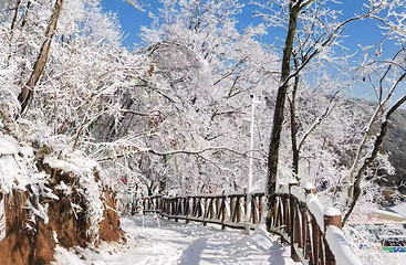 大别山滑雪旅游度假区第 6 张图片