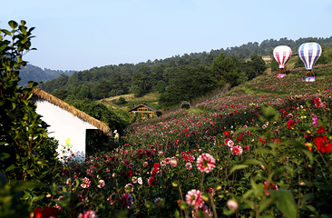 五华山旅游区第 53 张图片