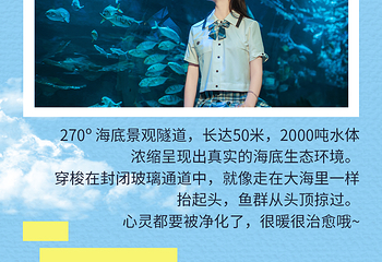 江和美海洋公园第 6 张图片