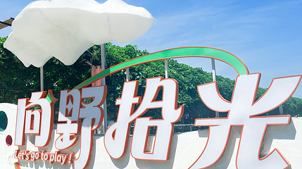向野拾光第 2 张图片