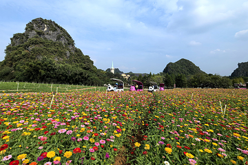 梦想城旅游景区第 10 张图片