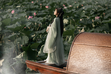 七星湿地公园游船第 5 张图片
