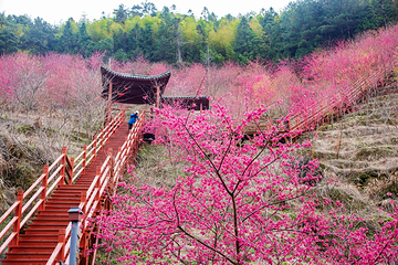 钱来山景区第 82 张图片