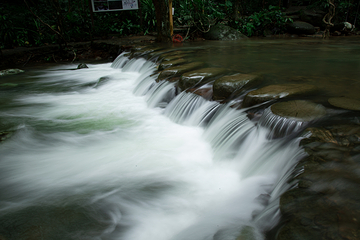 海南百花岭热带雨林文化旅游区第 90 张图片