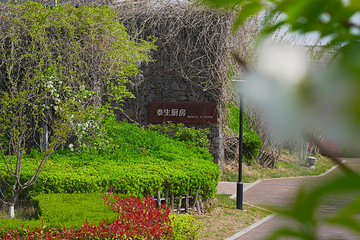 泰生小镇旅游景区第 35 张图片