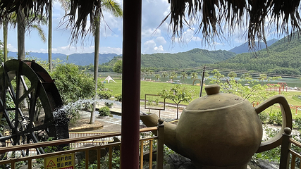 天湖鹭鸟生态风景区第 13 张图片