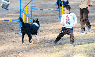 星宠汇亲子萌宠乐园