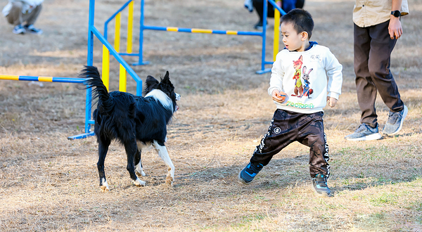 星宠汇亲子萌宠乐园