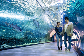 济州岛Aqua Planet水族馆第 11 张图片