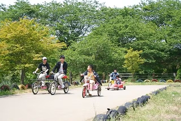 成田梦牧场第 13 张图片
