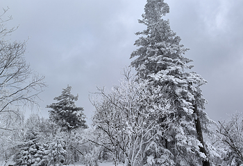 北大湖滑雪度假区第 32 张图片