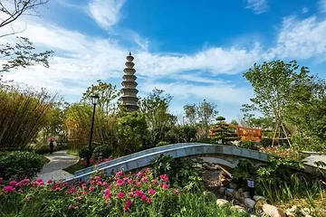 南阳世界月季大观园第 10 张图片
