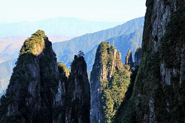 莽山旅游区国家森林公园第 61 张图片