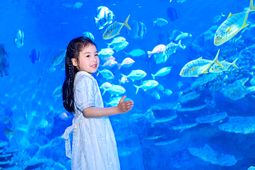 海合安武汉极地海洋公园第 176 张图片