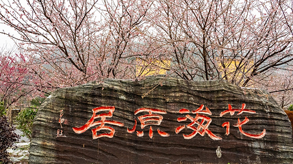 明月山花海原居第 26 张图片