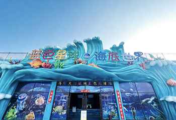 蓝色星球海底世界第 16 张图片
