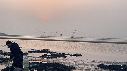 西海渔港赶海地第 18 张图片