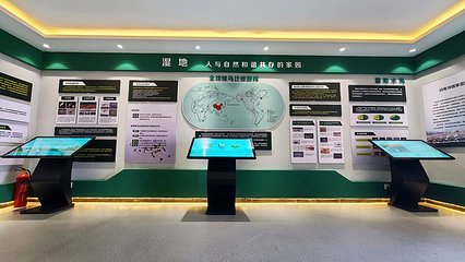 闪电河国家湿地公园观鸟园第 3 张图片