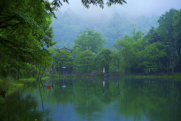 二郎山喇叭河风景区第 26 张图片