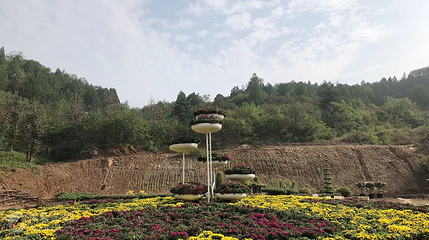花艺谷第 2 张图片