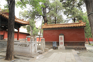 孔庙第 39 张图片