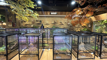 星沐森林昆虫自然博物馆