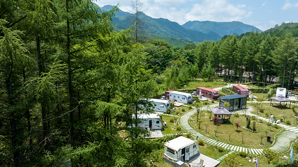 米仓山国家森林公园第 42 张图片
