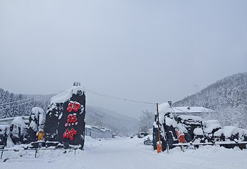 雪乡狗熊岭景区第 51 张图片