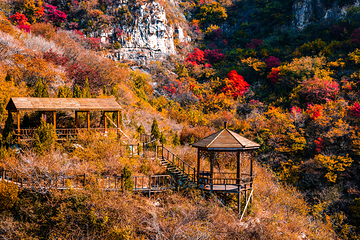 青铜山大峡谷第 7 张图片