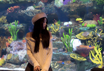 郑州海昌海洋公园第 81 张图片