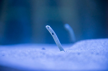 澎湖水族馆第 13 张图片