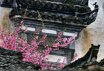 婺源篁岭景区第 64 张图片