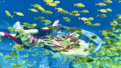 梦幻海洋企鹅馆第 56 张图片