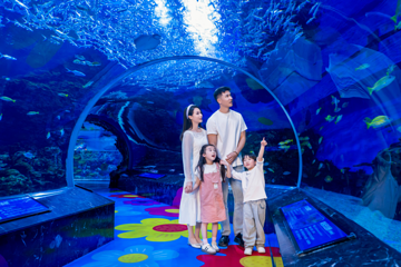 海合安成都极地海洋公园第 99 张图片