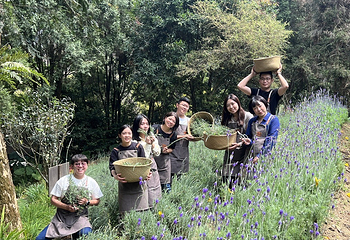 薰衣草森林(台中新社)第 26 张图片