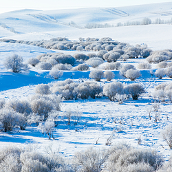 阿尔山国家森林公园