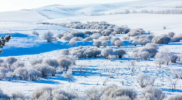 阿尔山国家森林公园