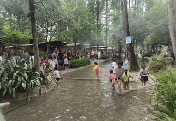 清水里森林营地第 38 张图片