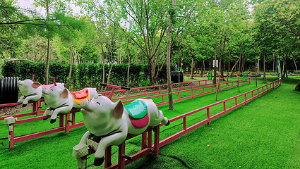 蘑幻森林第 7 张图片
