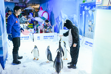 郑州银基冰雪世界第 67 张图片
