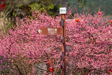 葛仙村度假区第 15 张图片