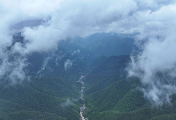 武夷山国家公园1号风景道第 19 张图片