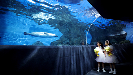 上海海洋水族馆第 189 张图片